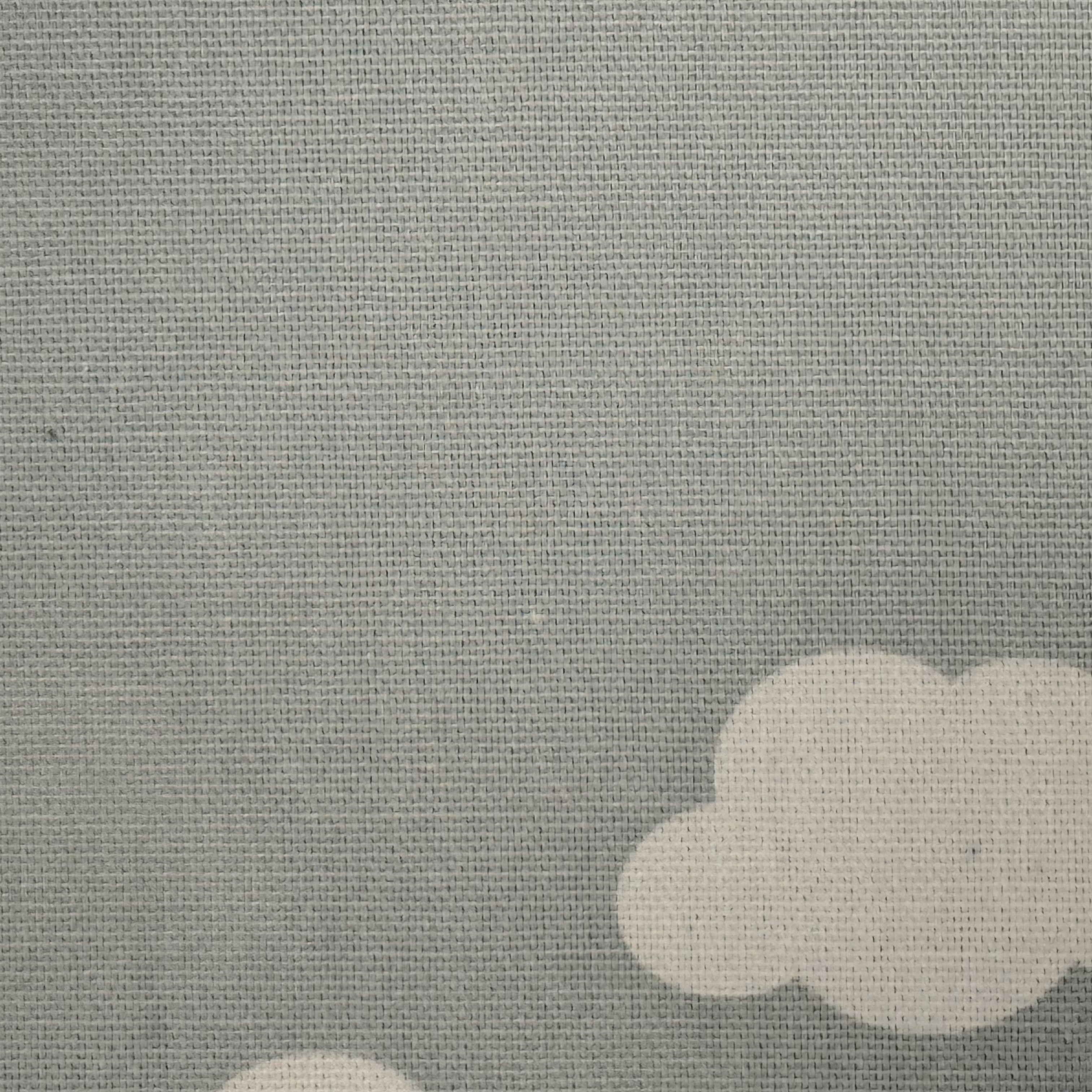 Clouds on Gray Canvas