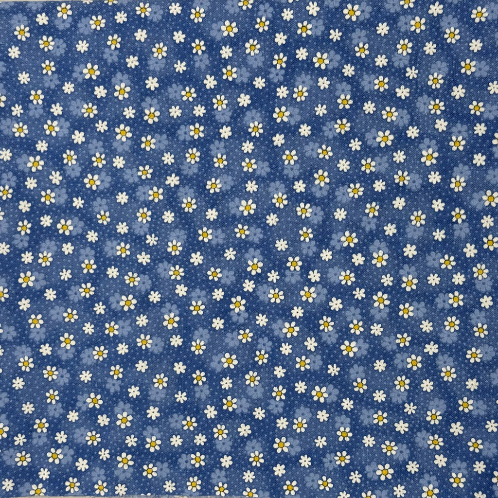 White Daisies on Blue