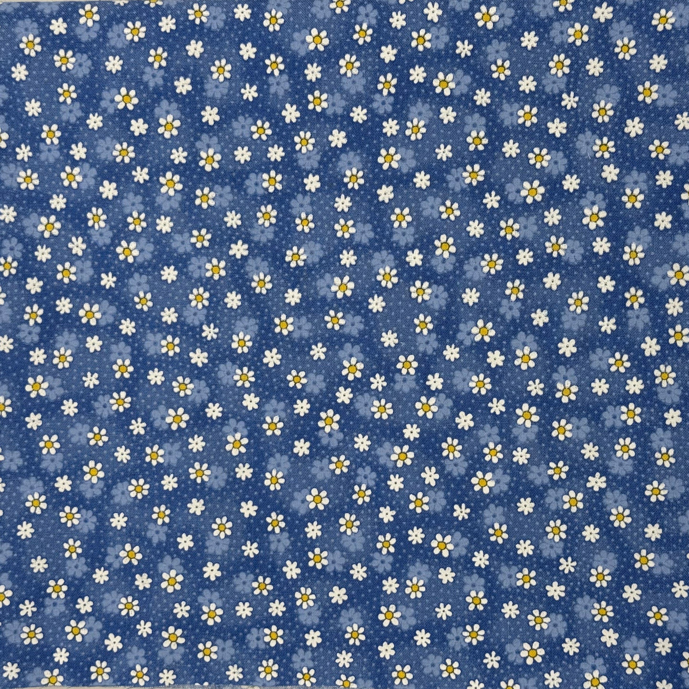 White Daisies on Blue