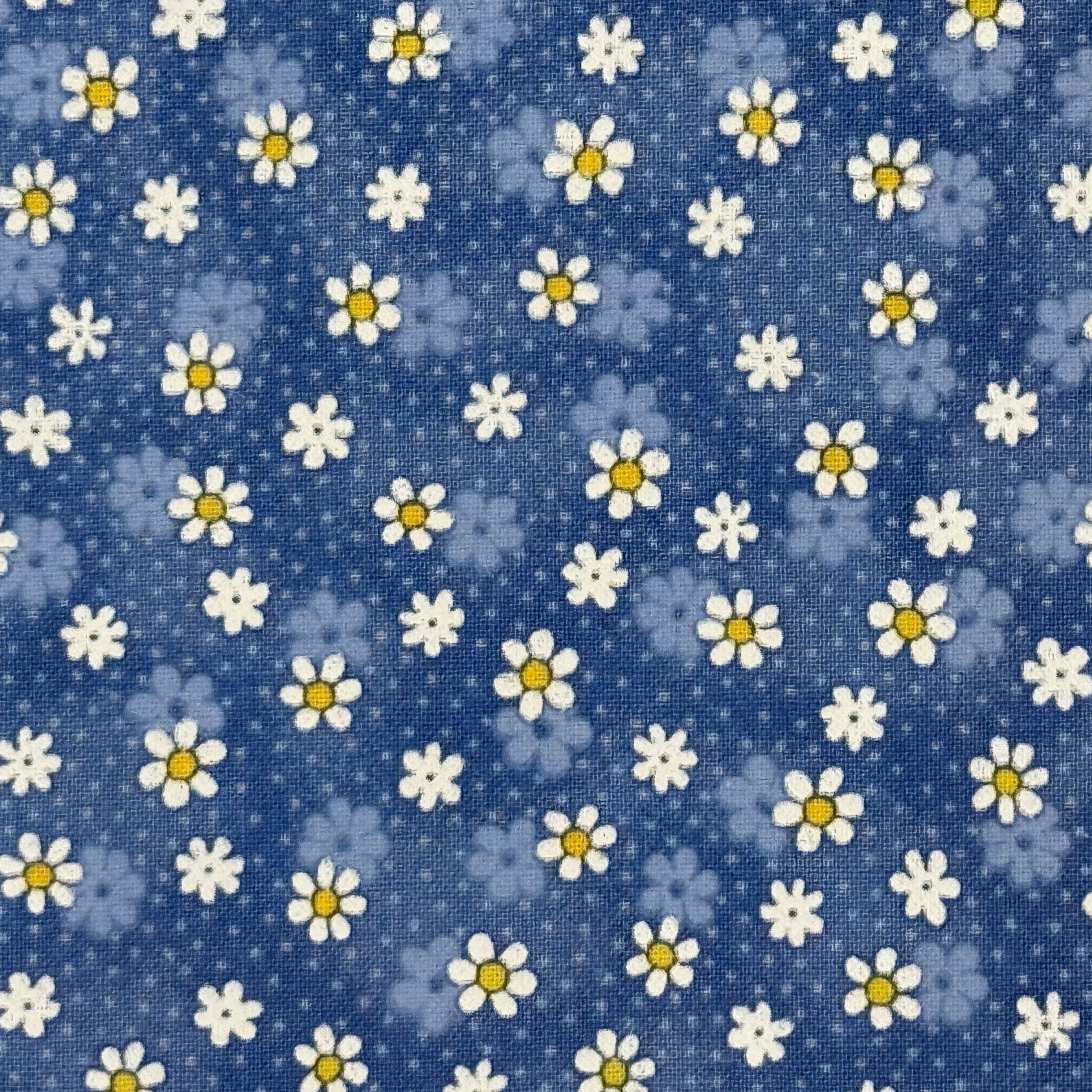 White Daisies on Blue