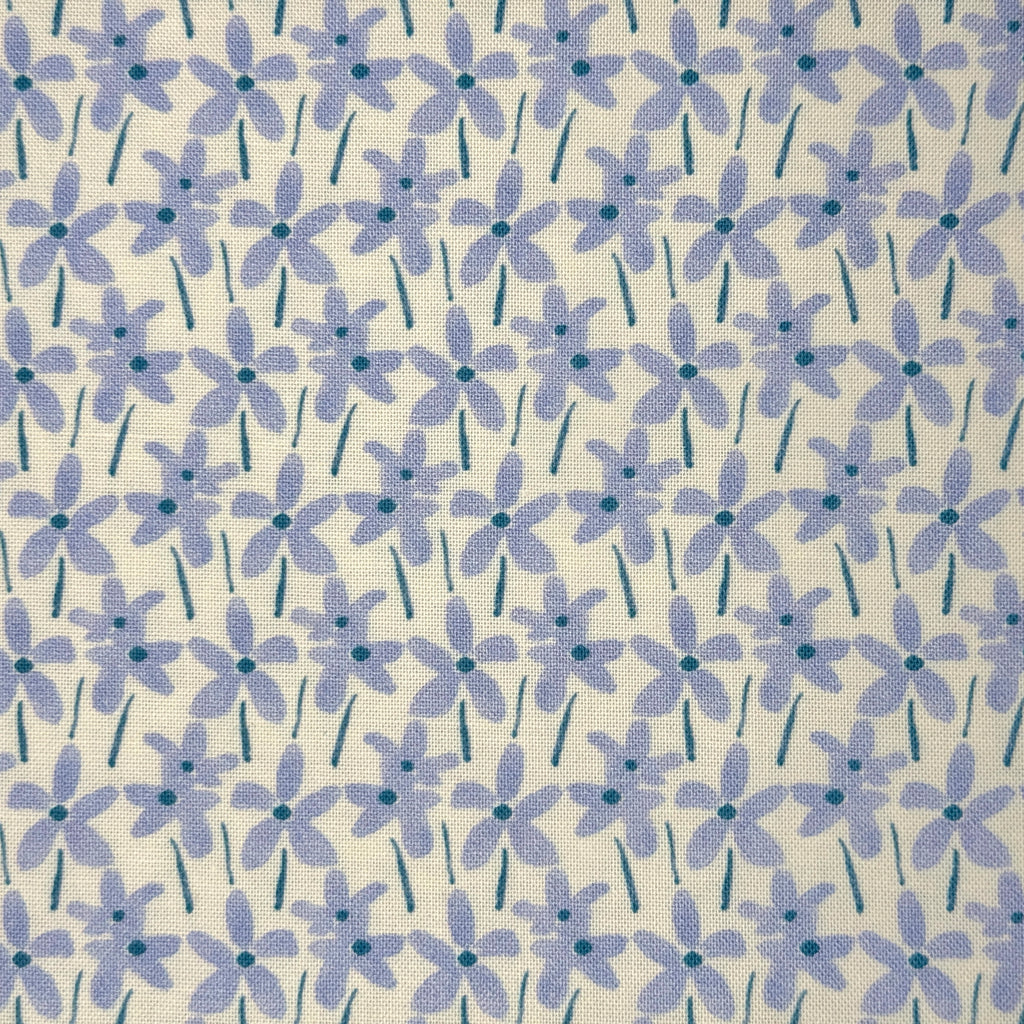 Cornflower Blue Daisies on Cream