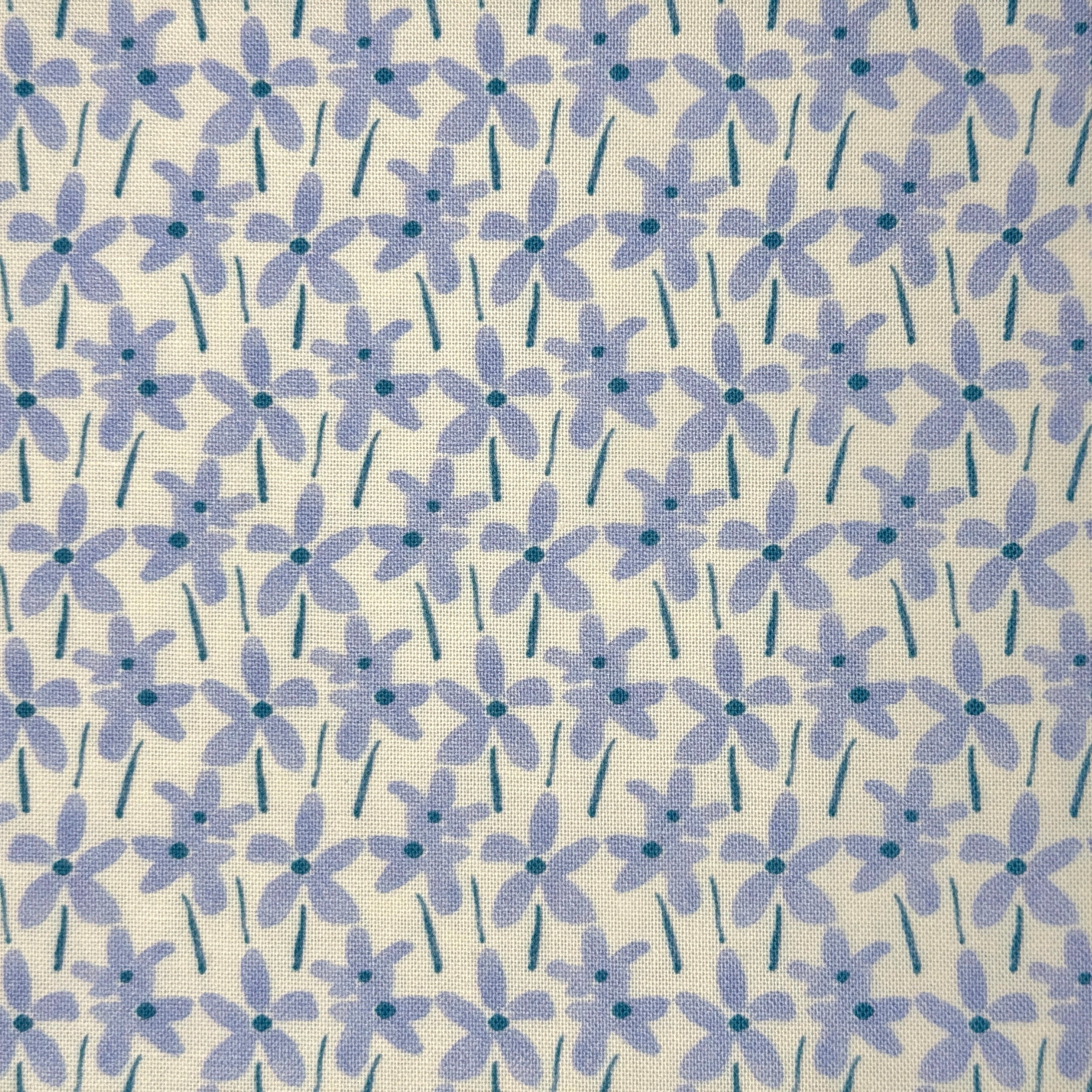 Cornflower Blue Daisies on Cream
