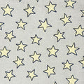 Pale Stars on Gray